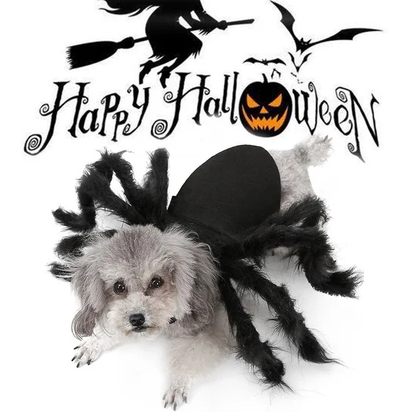 Halloween Spider Pet Costume - Halloween Cosplay Costumes for Cat Dog, Funny Party Dress up Accessories
Halloween Spider Pet Costume - Halloween Cosplay Costumes for Cat Dog, Funny Party Dress up Accessories