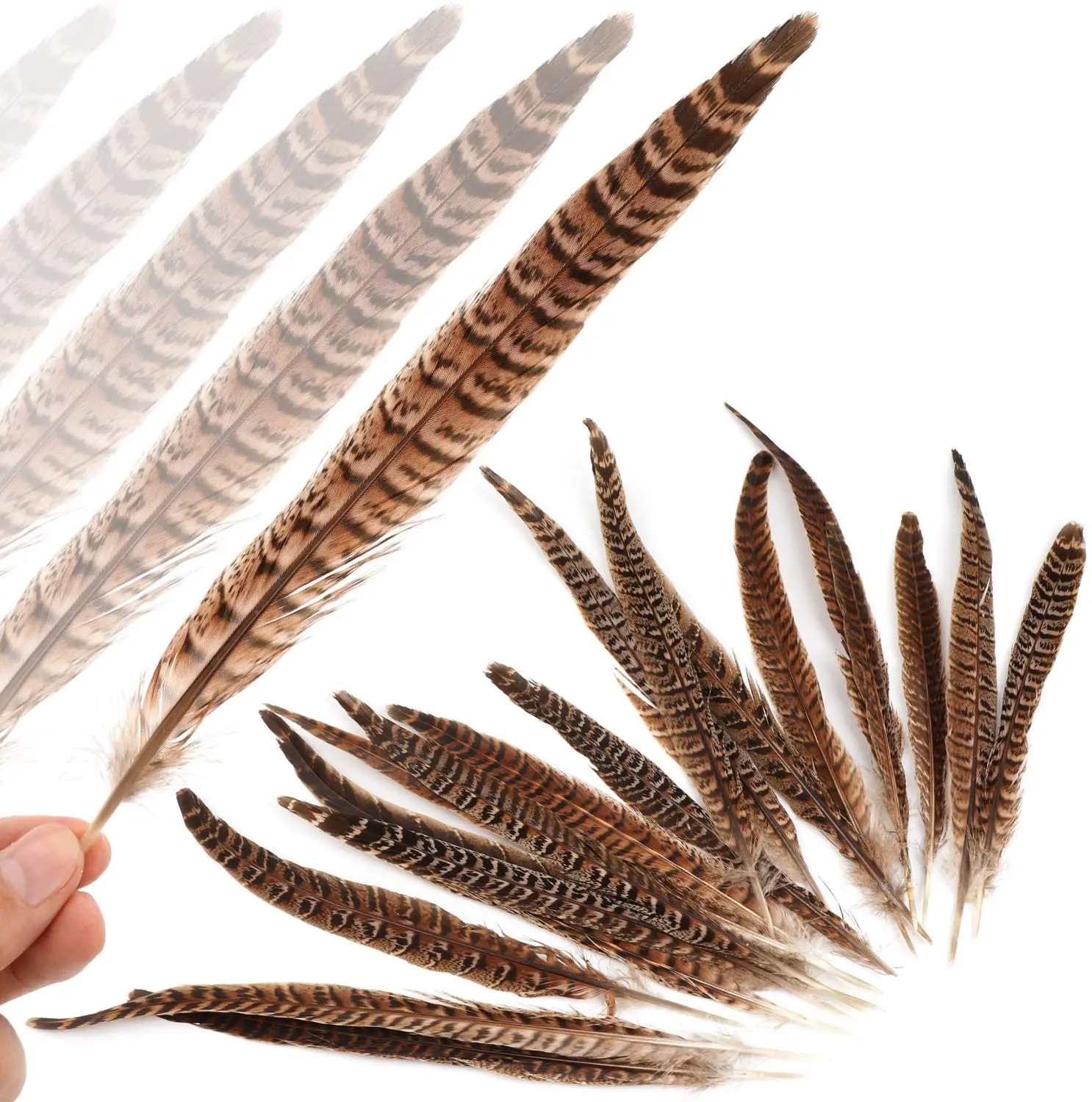 20pcs Natural Pheasant Feather Tail 25-30cm for Wedding Crafts Fly Tying Feathers Headdress Accessories Decoration Chicken Plume 
20pcs Natural Pheasant Feather Tail 25-30cm for Wedding Crafts Fly Tying Feathers Headdress Accessories Decoration Chicken Plume