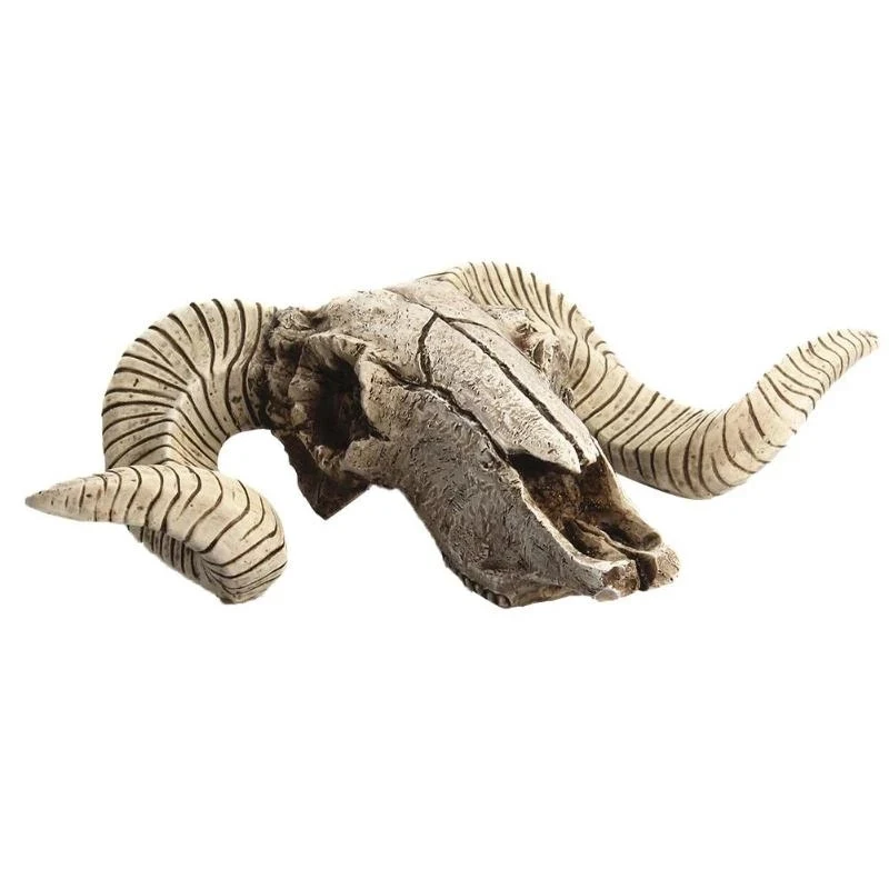 Wall Hanging Decoration 3D Shofar Skull Ornament Longhorn Sheep Skull Resin Art Crafts Wildlife Figurines Halloween Decor Gifts
Wall Hanging Decoration 3D Shofar Skull Ornament Longhorn Sheep Skull Resin Art Crafts Wildlife Figurines Halloween Decor Gifts