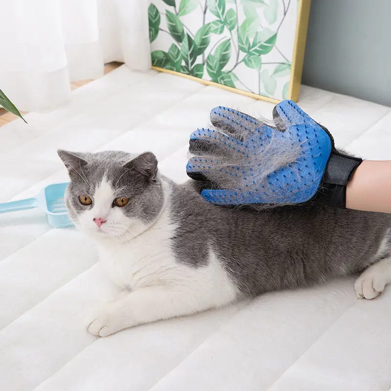 Pet Gloves Cat Grooming Gloves Cat Hair Removal Brush Removal Brush Animal Gloves Pet Brush Artifact
Pet Gloves Cat Grooming Gloves Cat Hair Removal Brush Removal Brush Animal Gloves Pet Brush Artifact