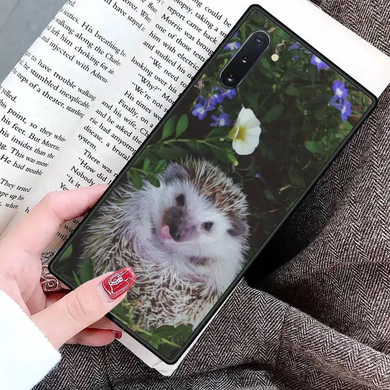 Cute little hedgehog Phone Case For Samsung Galaxy S8 S9 S10 Plus S10E Note 3 4 5 6 7 8 9 10 Pro Lite cover
Cute little hedgehog Phone Case For Samsung Galaxy S8 S9 S10 Plus S10E Note 3 4 5 6 7 8 9 10 Pro Lite cover