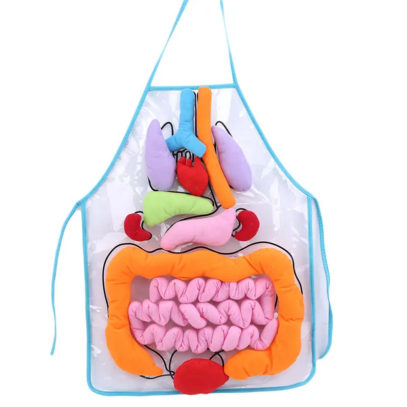 Creative Hot Educational Toys For Children Anatomy Apron Human Body Organs Awareness Preschool Science Home School Teaching Aids
Creative Hot Educational Toys For Children Anatomy Apron Human Body Organs Awareness Preschool Science Home School Teaching Aids