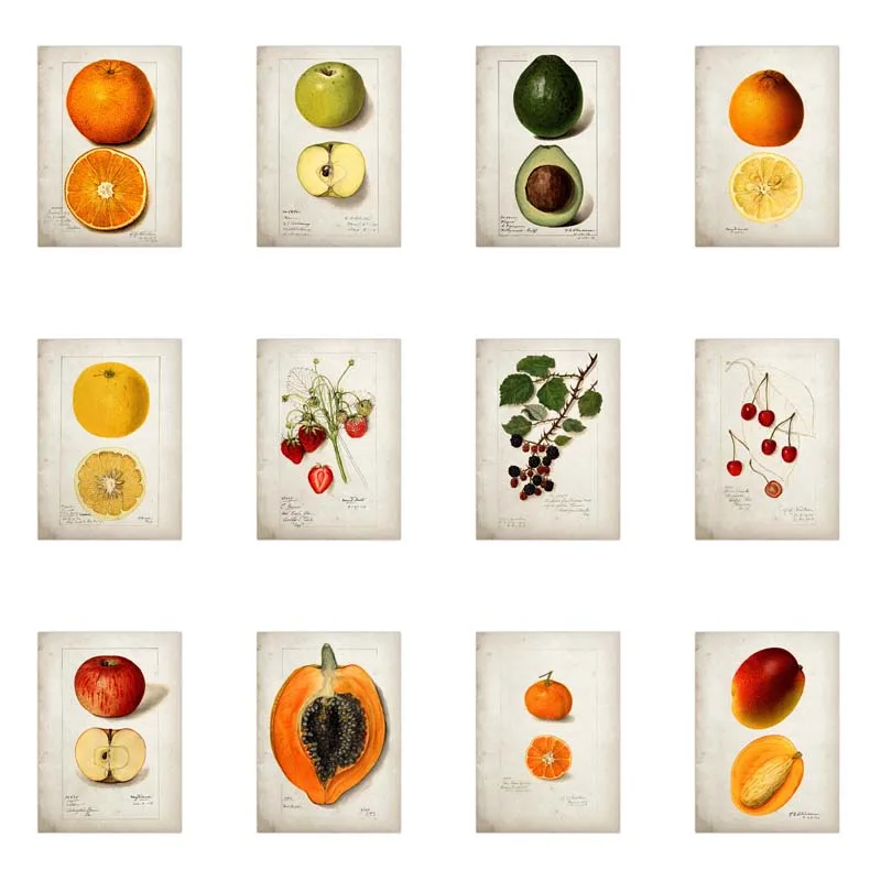 Retro Style Food Various Fruits Canvas Painting Wall Art Nordic Posters and Prints Wall Pictures for Living Room Decoration 
Retro Style Food Various Fruits Canvas Painting Wall Art Nordic Posters and Prints Wall Pictures for Living Room Decoration