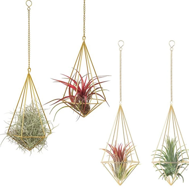 4 Packs Hanging Air Plant Holder Modern Geometric Planter with Chain Tillandisia Container Himmeli Wall Decoration
4 Packs Hanging Air Plant Holder Modern Geometric Planter with Chain Tillandisia Container Himmeli Wall Decoration