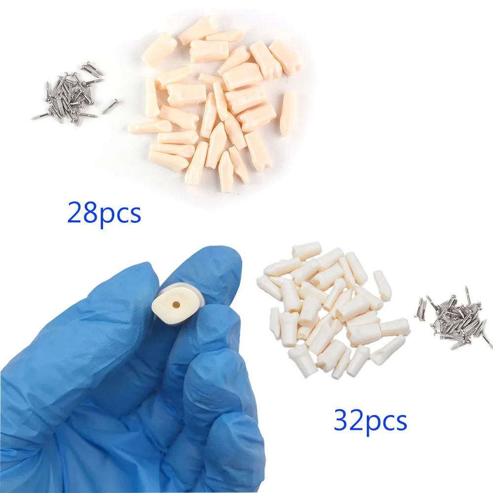 32/28PCS Dental Tooth Model Resin Teeth For Practice Replacement Simulation Head Teaching Resources Products for Dentists M8024
32/28PCS Dental Tooth Model Resin Teeth For Practice Replacement Simulation Head Teaching Resources Products for Dentists M8024