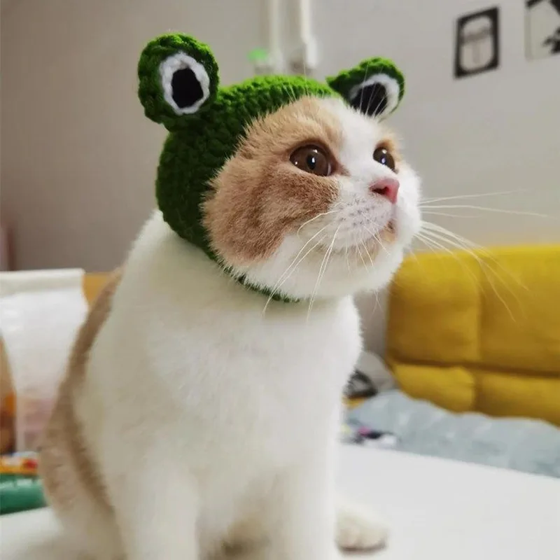 Knitting Wool Pet Hat Cute Cat Headwear Frog Puppy Kitten Hat Handmade Winter Autumn Pet Cap Dog Accessories For Little Dog
Knitting Wool Pet Hat Cute Cat Headwear Frog Puppy Kitten Hat Handmade Winter Autumn Pet Cap Dog Accessories For Little Dog