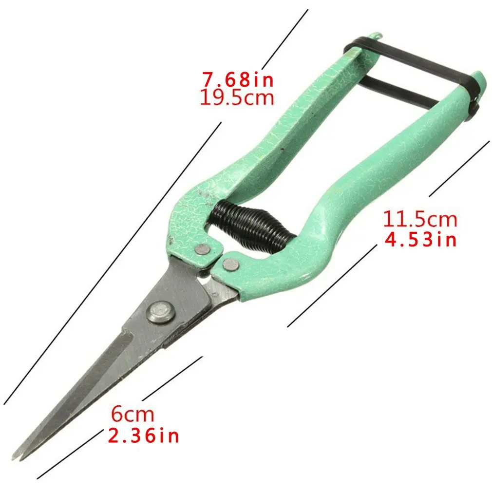 19.5cm Straight leaf fruit flower leaf trimmer Garden Plant horticulture Scissors secateurs Shear pruning cut Shrub Orchard tool
19.5cm Straight leaf fruit flower leaf trimmer Garden Plant horticulture Scissors secateurs Shear pruning cut Shrub Orchard tool
