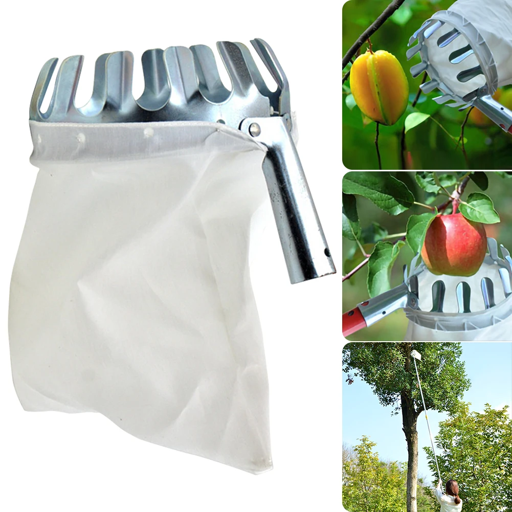 Metal fruit picking machineAgricultural garden hardware toolsFruit picking machineGarden farm fruit picking tools
Metal fruit picking machineAgricultural garden hardware toolsFruit picking machineGarden farm fruit picking tools