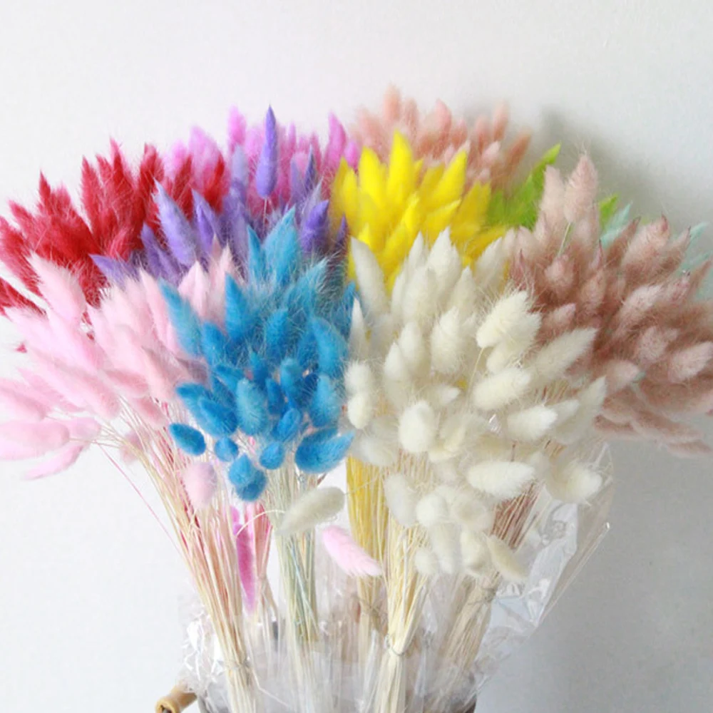 30Pcs/lot Natural Dried Flowers Rabbit Tail Grass Bunch Colorful Real Flower Bouquet for Home Wedding Decoration
30Pcs/lot Natural Dried Flowers Rabbit Tail Grass Bunch Colorful Real Flower Bouquet for Home Wedding Decoration