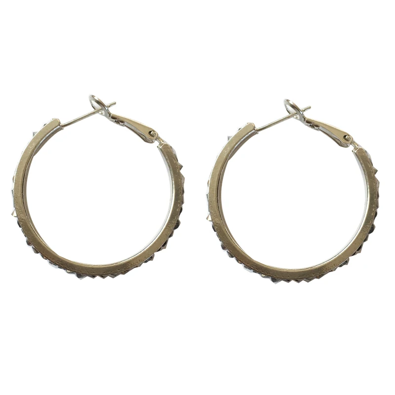S925 needle Trendy Jewelry Hoop Earrings Hot Selling Round Metal High Quality Clear Crystal Earrings For Womne Girl Party Gifts
S925 needle Trendy Jewelry Hoop Earrings Hot Selling Round Metal High Quality Clear Crystal Earrings For Womne Girl Party Gifts
