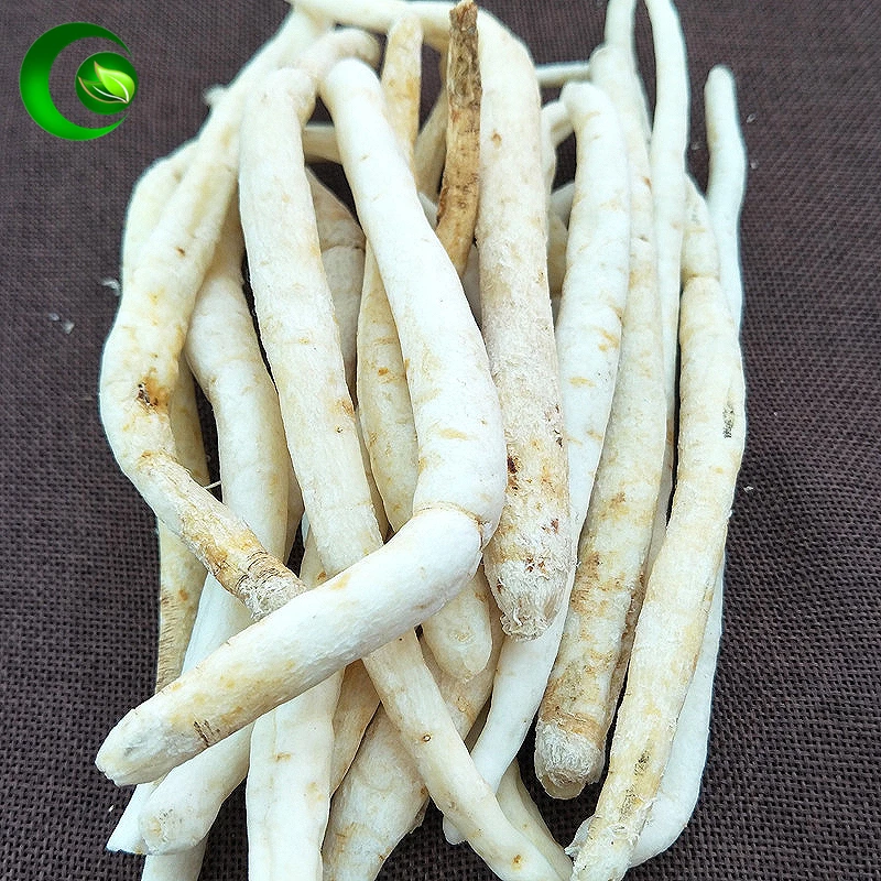 Violaceum;Chuanminshen Violaceum Sheh Et Shan Minshen Viloaceum Sheh Et Shan Sichuan Mingshen Created Highcharts Chuanminshen
Violaceum;Chuanminshen Violaceum Sheh Et Shan Minshen Viloaceum Sheh Et Shan Sichuan Mingshen Created Highcharts Chuanminshen