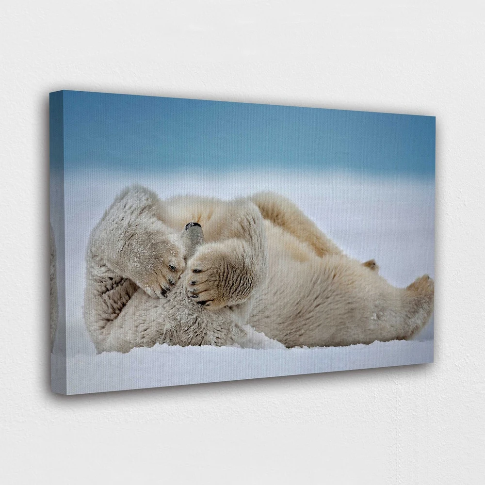 Wall Artwork Snow White Bear Canvas Painting HD Printed Cute Animal Poster Home Decor For Living Room Modular Pictures Frame
Wall Artwork Snow White Bear Canvas Painting HD Printed Cute Animal Poster Home Decor For Living Room Modular Pictures Frame