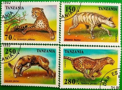 4 шт., 1995, марки почтовых отделений Танзании, штампы с животными, коллекция штампов, используются с почтовыми отметками