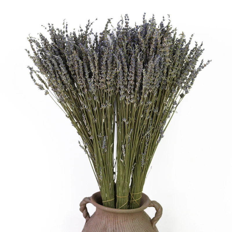 Натуральные сухие цветы, 110 г, освежитель воздуха для растений с лавандой, для органических цветов, сухие бутоны 
Натуральные сухие цветы, 110 г, освежитель воздуха для растений с лавандой, для органических цветов, сухие бутоны