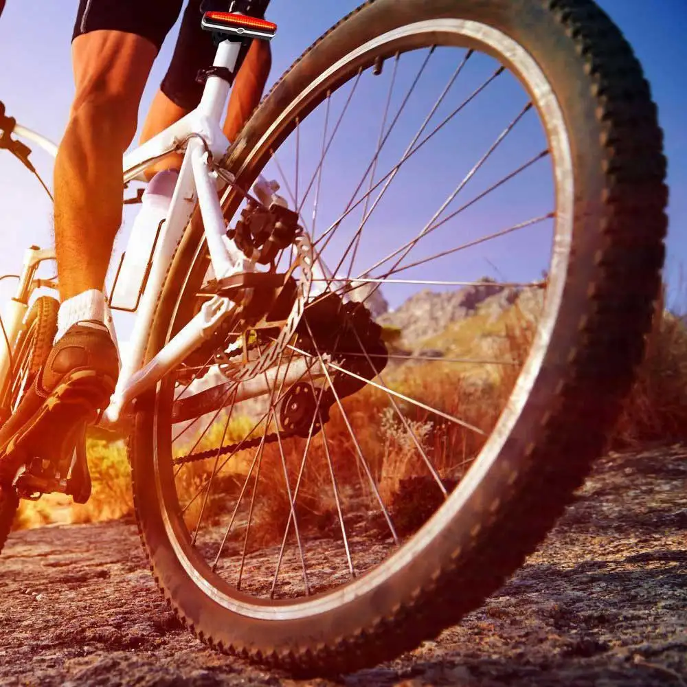 Bike Tail Light USB Rechargeable Waterproof Bright Bicycle Rear Light Cycling Safety LED Flashlight Back Lamp For Bicycle
Bike Tail Light USB Rechargeable Waterproof Bright Bicycle Rear Light Cycling Safety LED Flashlight Back Lamp For Bicycle