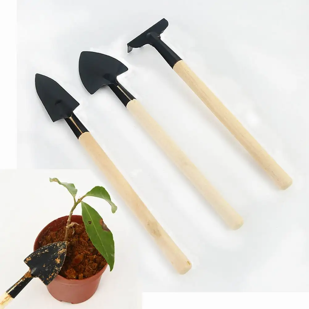 3pcs/Set Mini Gardening Tools Wood Handle Stainless Steel Potted Plants Shovel Rake Spade for Flowers Potted Plant
3pcs/Set Mini Gardening Tools Wood Handle Stainless Steel Potted Plants Shovel Rake Spade for Flowers Potted Plant