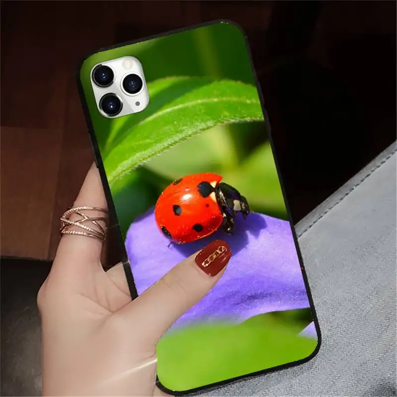ladybug cute animal Four leaf clover Phone Case for iPhone 11 12 pro XS MAX 8 7 6 6S Plus X 5S SE 2020 XR
ladybug cute animal Four leaf clover Phone Case for iPhone 11 12 pro XS MAX 8 7 6 6S Plus X 5S SE 2020 XR