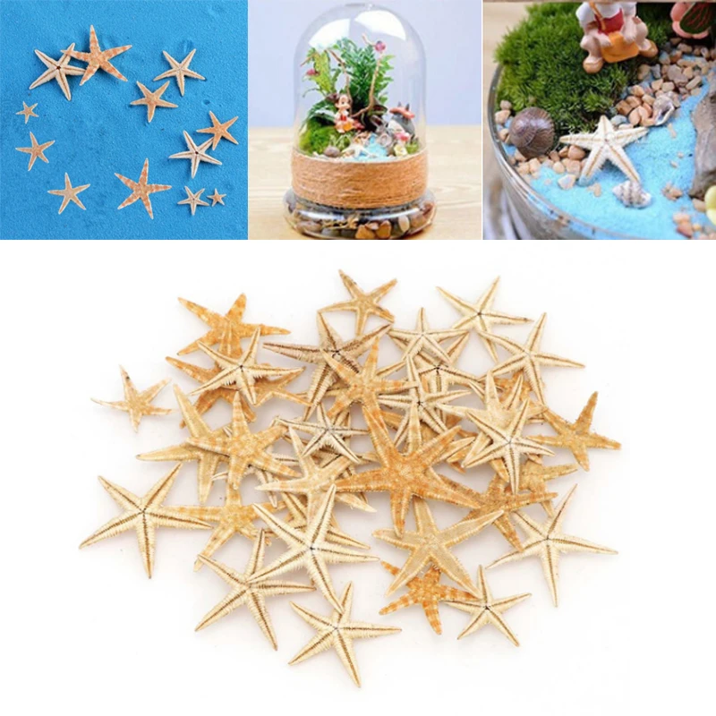 25/50pcs 2-3cm Starfish Beach Craft Natural Sea Stars Craft Decoration DIY Handmade Accessories
25/50pcs 2-3cm Starfish Beach Craft Natural Sea Stars Craft Decoration DIY Handmade Accessories