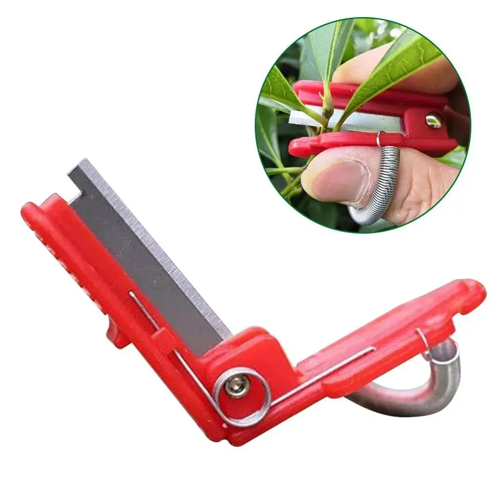 Vegetable Thump Knife Separator Vegetable Fruit Harvesting Picking Tool for Farm Garden Orchard #40
Vegetable Thump Knife Separator Vegetable Fruit Harvesting Picking Tool for Farm Garden Orchard #40