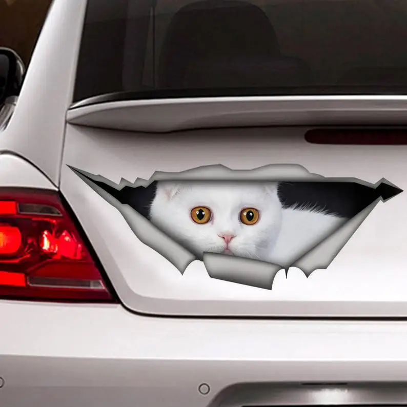 2021 White Scottish Fold decal, white cat car decal, funny sticker, cat car sticker
2021 White Scottish Fold decal, white cat car decal, funny sticker, cat car sticker