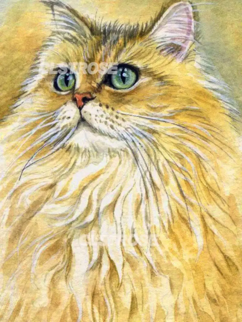 Diy Diamond Painting Animal Yellow Cat Home Decoration Wall Art Handmade Gift Stickers Diamond Embroidery Can Be Customized
Diy Diamond Painting Animal Yellow Cat Home Decoration Wall Art Handmade Gift Stickers Diamond Embroidery Can Be Customized