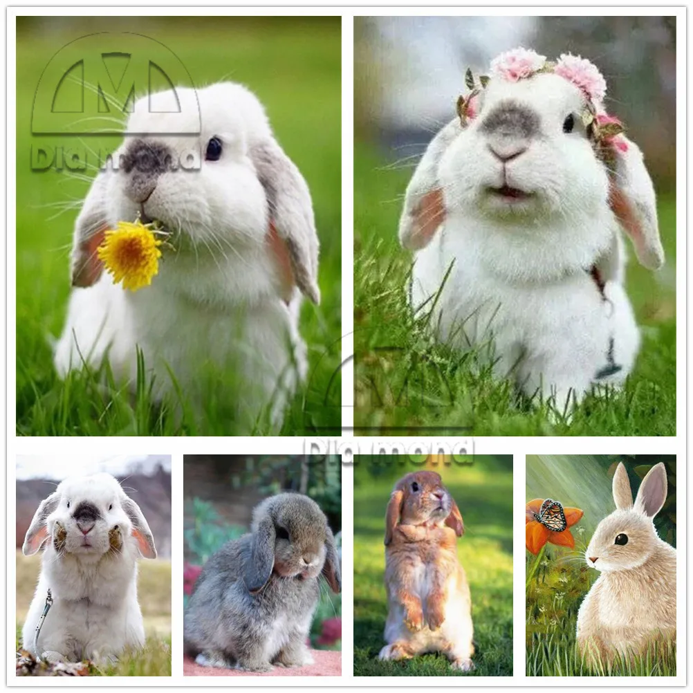 5D Diy Diamond Cute Rabbit Animals Full Square/round Drill Diamond Painting Embroidery Cross Stitch Picture of Rhinestone Decor
5D Diy Diamond Cute Rabbit Animals Full Square/round Drill Diamond Painting Embroidery Cross Stitch Picture of Rhinestone Decor
