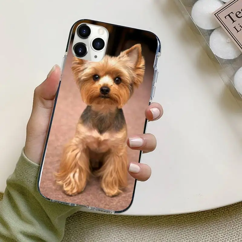 Yorkshire terrier dog Phone Cases For iphone 12 5 5s 5c se 6 6s 7 8 plus x xs xr 11 pro max mini
Yorkshire terrier dog Phone Cases For iphone 12 5 5s 5c se 6 6s 7 8 plus x xs xr 11 pro max mini