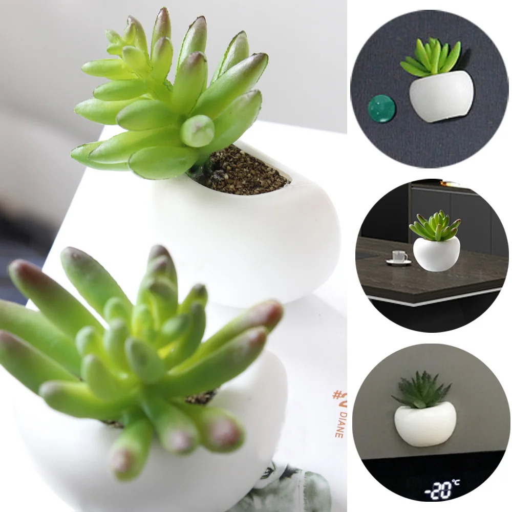 New Creative Portable 1pcs Cute Succulent Magnet Button Home Kitchen Cactus Refrigerator Message Sticker
New Creative Portable 1pcs Cute Succulent Magnet Button Home Kitchen Cactus Refrigerator Message Sticker