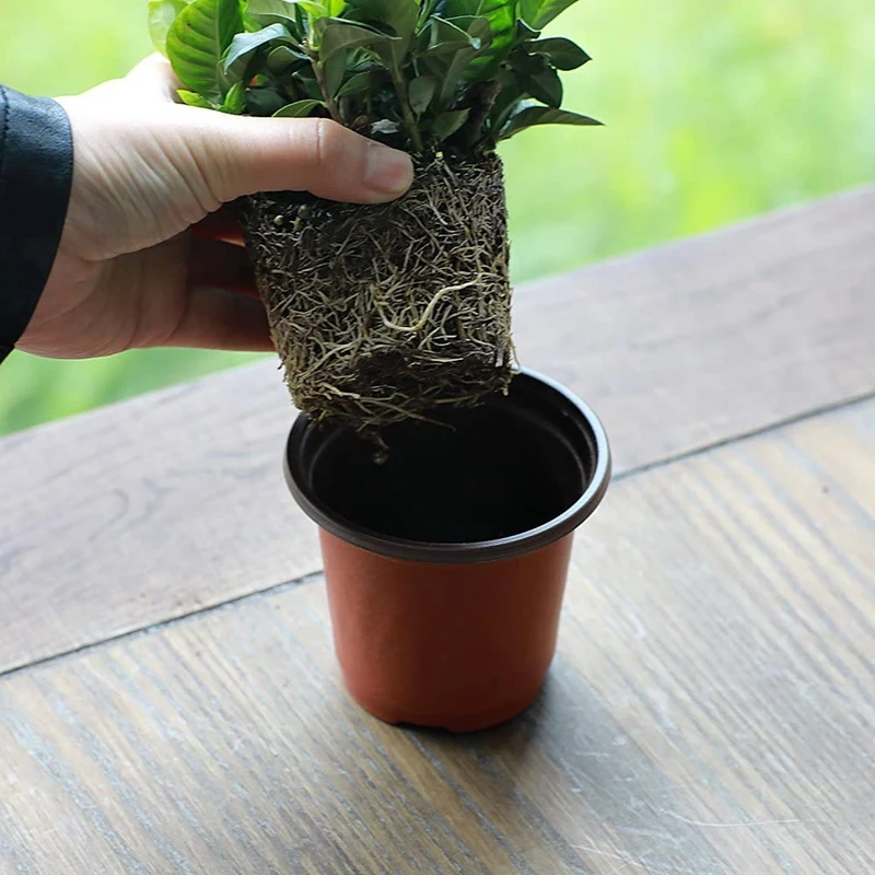 100Pcs 16cm Plastic Flower Seedlings Nursery Supplies Planter Pot/Pots Containers Seed Starting Pots Planting Pots
100Pcs 16cm Plastic Flower Seedlings Nursery Supplies Planter Pot/Pots Containers Seed Starting Pots Planting Pots