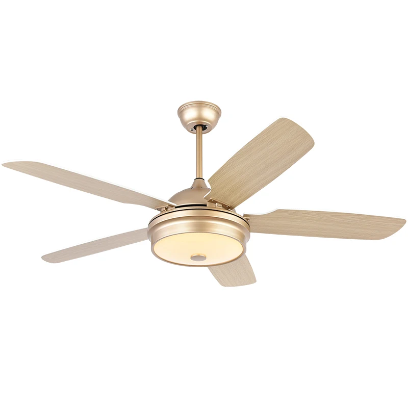 Nordic 220V Ceiling Fan Lamp Dining Room Living Room Electric Fan Solid Wood Silent Remote Control Ceiling Light with Fan
Nordic 220V Ceiling Fan Lamp Dining Room Living Room Electric Fan Solid Wood Silent Remote Control Ceiling Light with Fan