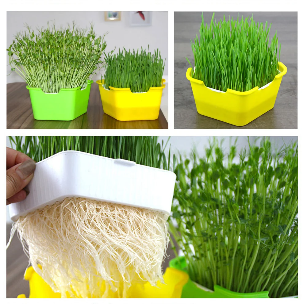 Pentagonal Box Sprouts Seedling Tray Multifunctional Planting Box Double-layer Design Planting Children's Sprouts Planting Box
Pentagonal Box Sprouts Seedling Tray Multifunctional Planting Box Double-layer Design Planting Children's Sprouts Planting Box