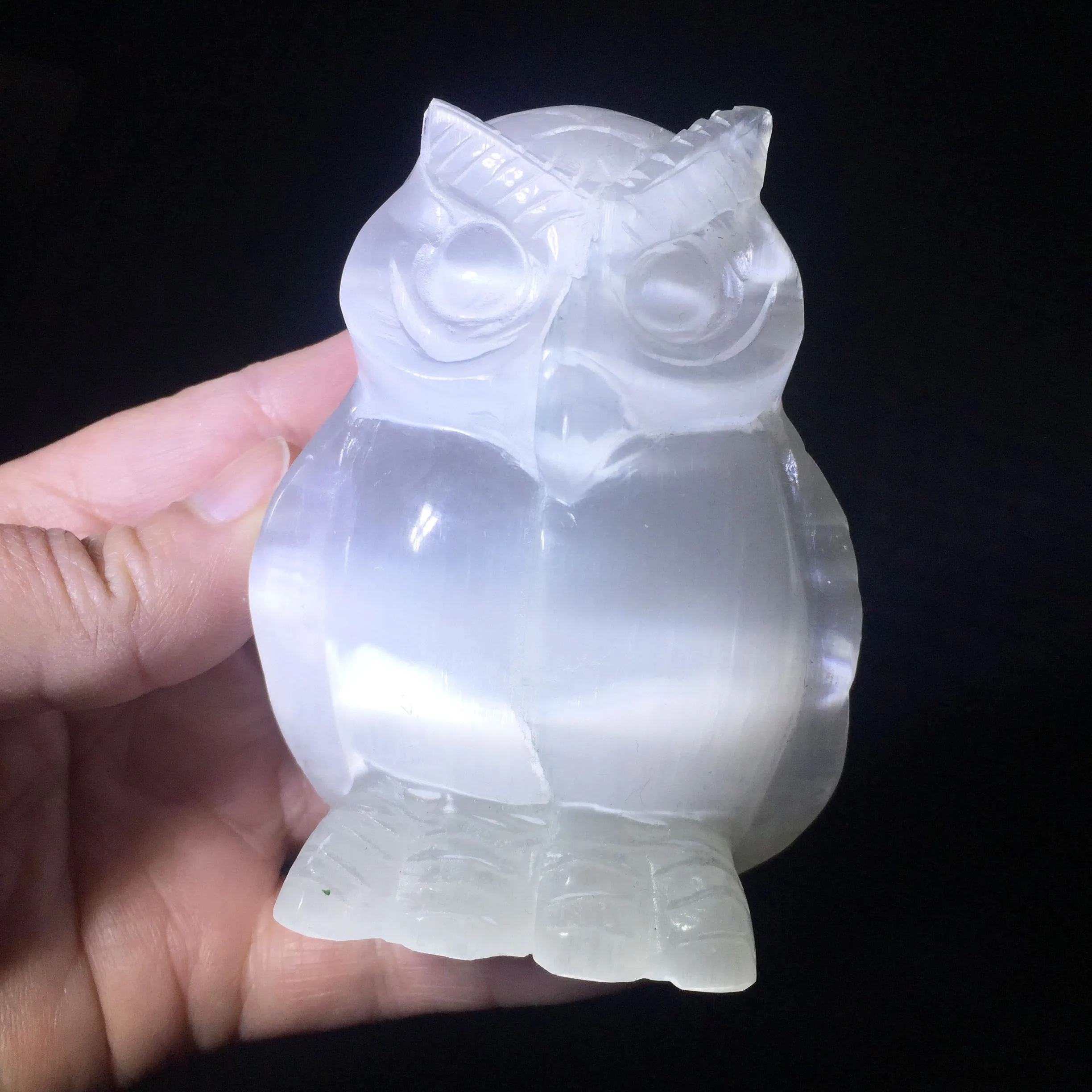 1PCS Natural Hand Carved white selenite owl Crystal angels folk crafts for Healing Gifts
1PCS Natural Hand Carved white selenite owl Crystal angels folk crafts for Healing Gifts