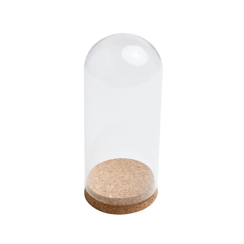Glass Dome Display Wood Cork Bell Jar Cover Cloche Display Flower Succulent Plants Vase With Wood Cork Table Decor DIY Craft
Glass Dome Display Wood Cork Bell Jar Cover Cloche Display Flower Succulent Plants Vase With Wood Cork Table Decor DIY Craft