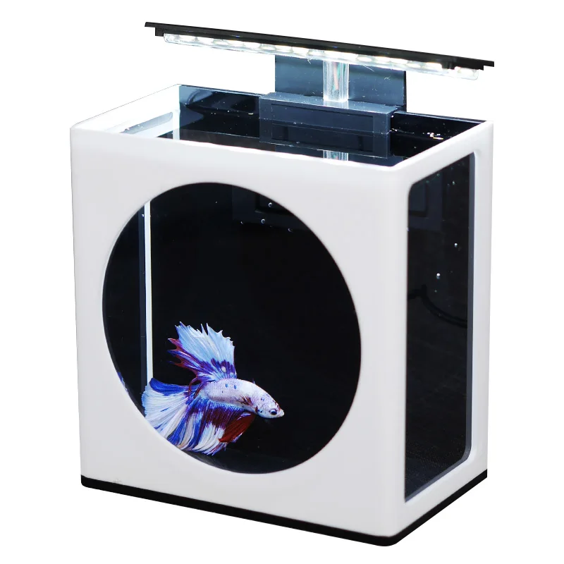 Cute Fighting Fish Tank Simple Display Fish Tank Office Ecological Micro Tank Ornamental Fish Mini Desktop Fish Tank 
Cute Fighting Fish Tank Simple Display Fish Tank Office Ecological Micro Tank Ornamental Fish Mini Desktop Fish Tank