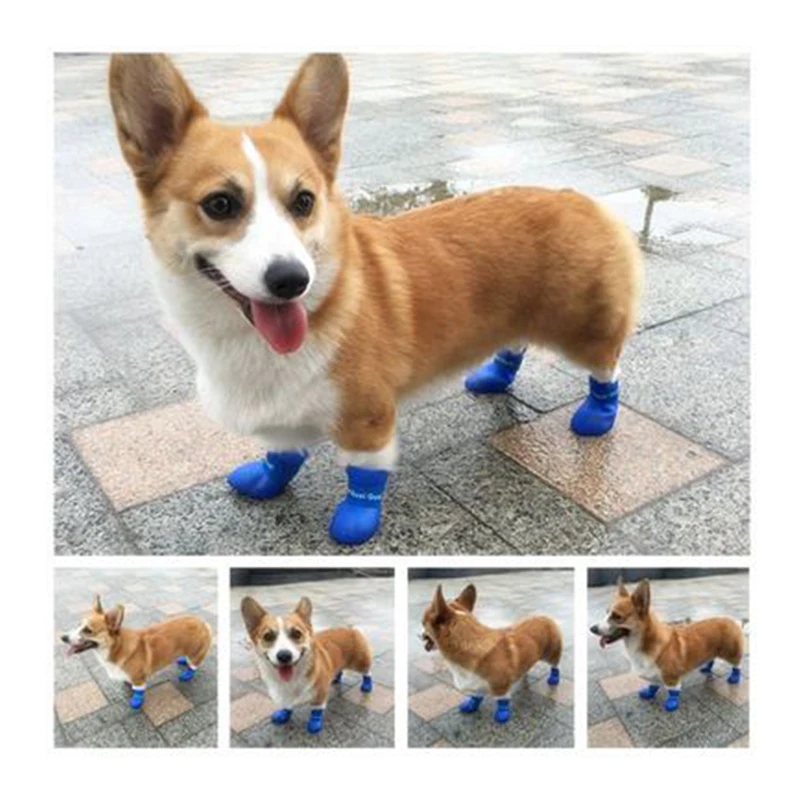 Резиновая нескользящая Водонепроницаемая Обувь для собак и кошек, 4 шт./компл.
Резиновая нескользящая Водонепроницаемая Обувь для собак и кошек, 4 шт./компл.