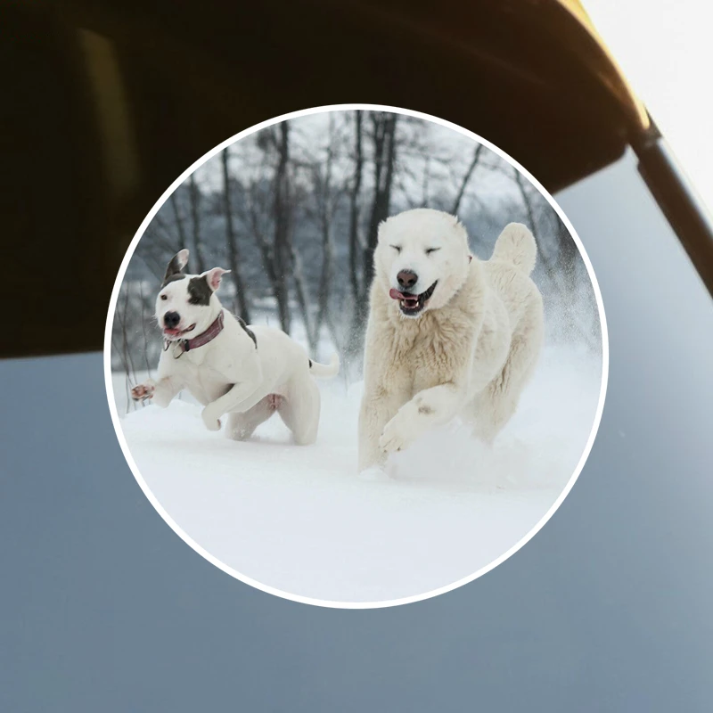 S61704 # Adorable Happy Dogs in Snow Self-adhesive Decal Car Sticker Waterproof Auto Decors on Bumper Rear Window Laptop
S61704 # Adorable Happy Dogs in Snow Self-adhesive Decal Car Sticker Waterproof Auto Decors on Bumper Rear Window Laptop