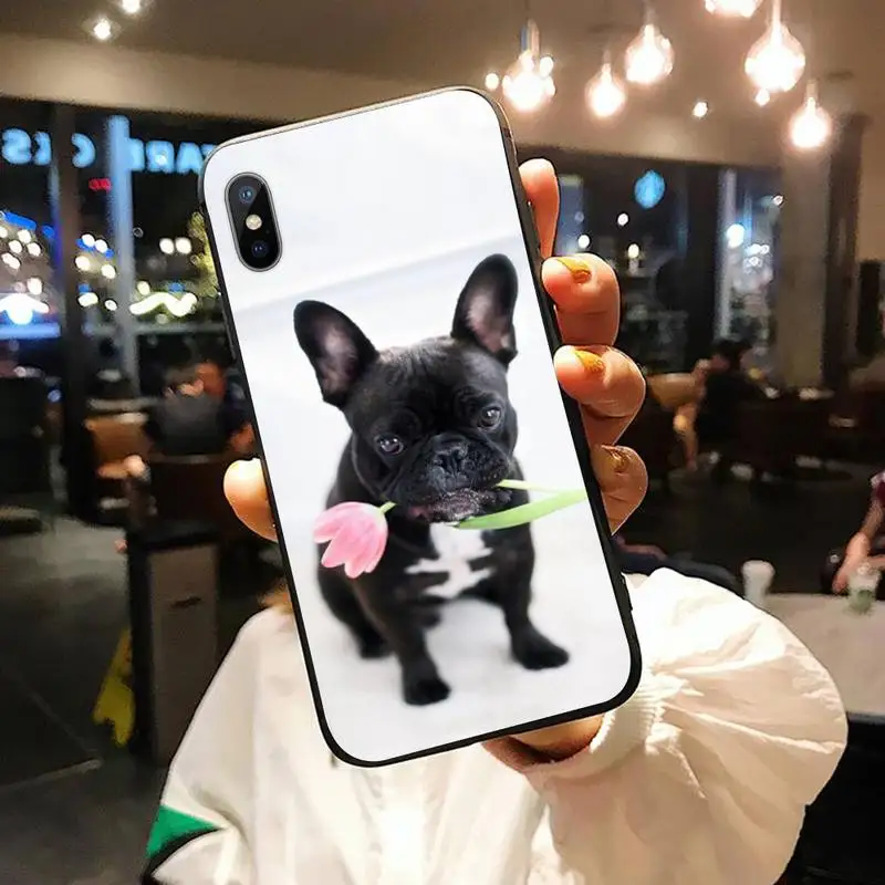 Lovely French bulldog dog animal Phone Case for iPhone 11 12 mini pro XS MAX 8 7 6 6S Plus X 5S SE 2020 XR shell
Lovely French bulldog dog animal Phone Case for iPhone 11 12 mini pro XS MAX 8 7 6 6S Plus X 5S SE 2020 XR shell