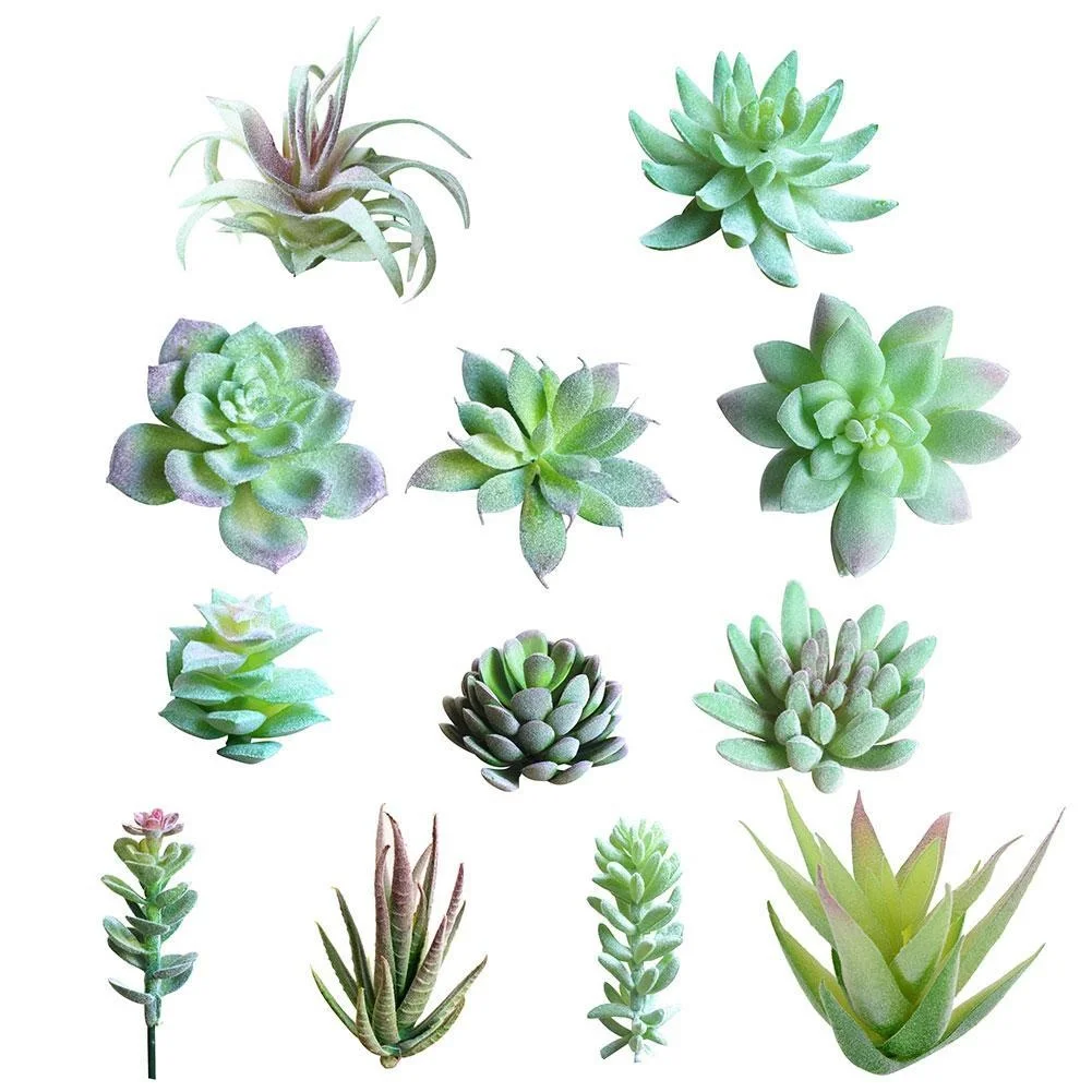 planta Artificial flowers plants Flower Mini Fake Faux Succulent Plant home decoration Desk Bonsai Decor Accessories Ornaments
planta Artificial flowers plants Flower Mini Fake Faux Succulent Plant home decoration Desk Bonsai Decor Accessories Ornaments