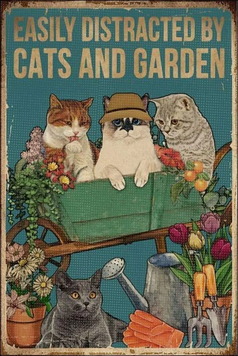 GoodKitchen Distracted By Cats and Garden Retro Metal Tin Sign Vintage Aluminum Sign for Home Coffee Wall Decor 8x12 Inch
GoodKitchen Distracted By Cats and Garden Retro Metal Tin Sign Vintage Aluminum Sign for Home Coffee Wall Decor 8x12 Inch