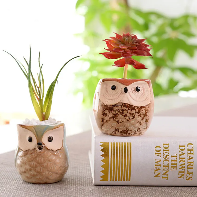HOT 6pcs/set Mini Ceramic Owl Succulent Plants Bonsai Pots Flower Home Office Desk Decor NDS
HOT 6pcs/set Mini Ceramic Owl Succulent Plants Bonsai Pots Flower Home Office Desk Decor NDS