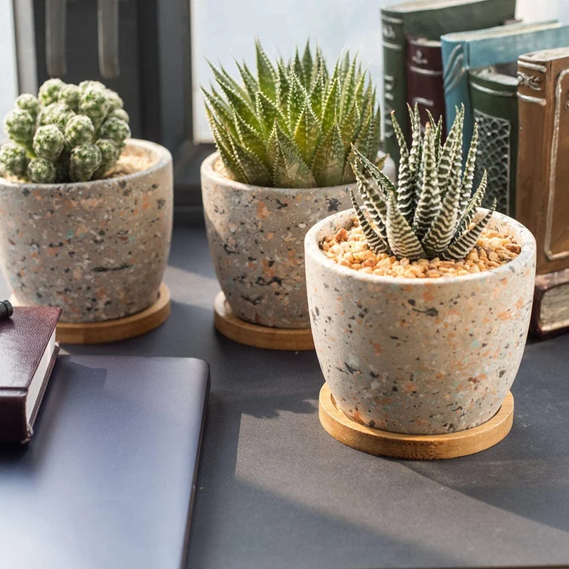 Bamboo Plant Saucer 3.3 inch Succulent Pot Tray Flower Plant Holder, Round Drainage Tray 12 Pack
Bamboo Plant Saucer 3.3 inch Succulent Pot Tray Flower Plant Holder, Round Drainage Tray 12 Pack