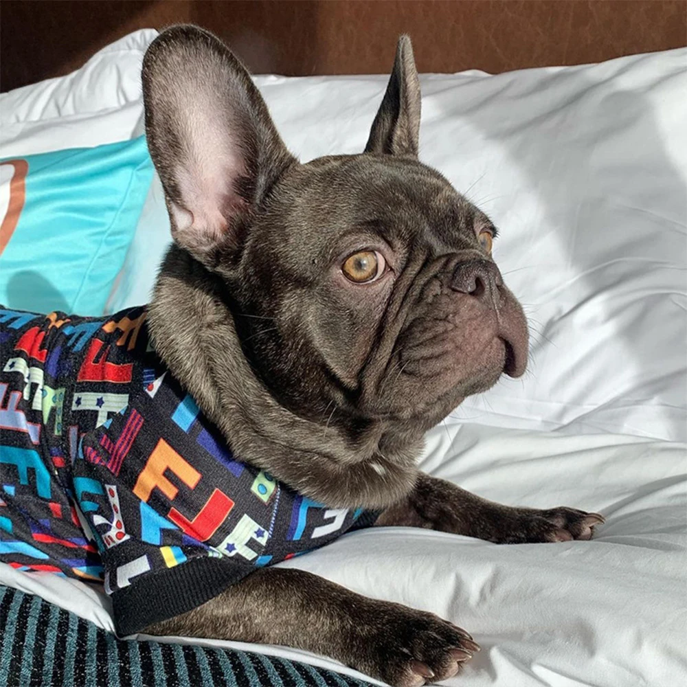Letter Pattern Dog T-shirt Puppy Summer Clothes For Pug English Bull Small And Medium Dog Teddy Bulldog Pet Clothing
Letter Pattern Dog T-shirt Puppy Summer Clothes For Pug English Bull Small And Medium Dog Teddy Bulldog Pet Clothing