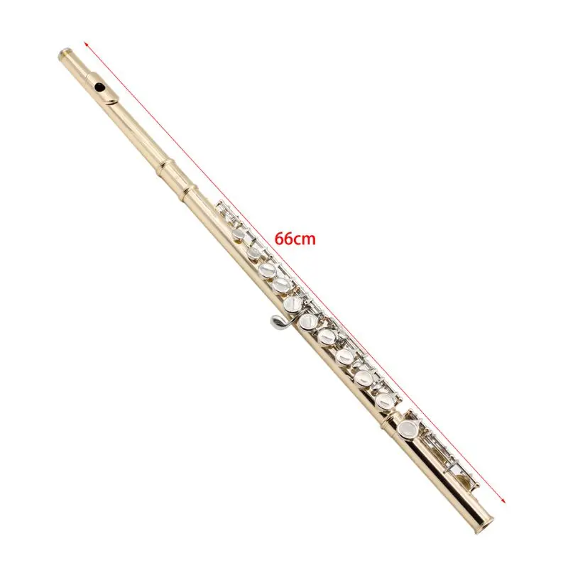2021 New Gold 16 Holes C Key Flute Cupronickel Body Silver Keys with Storage Bag
2021 New Gold 16 Holes C Key Flute Cupronickel Body Silver Keys with Storage Bag