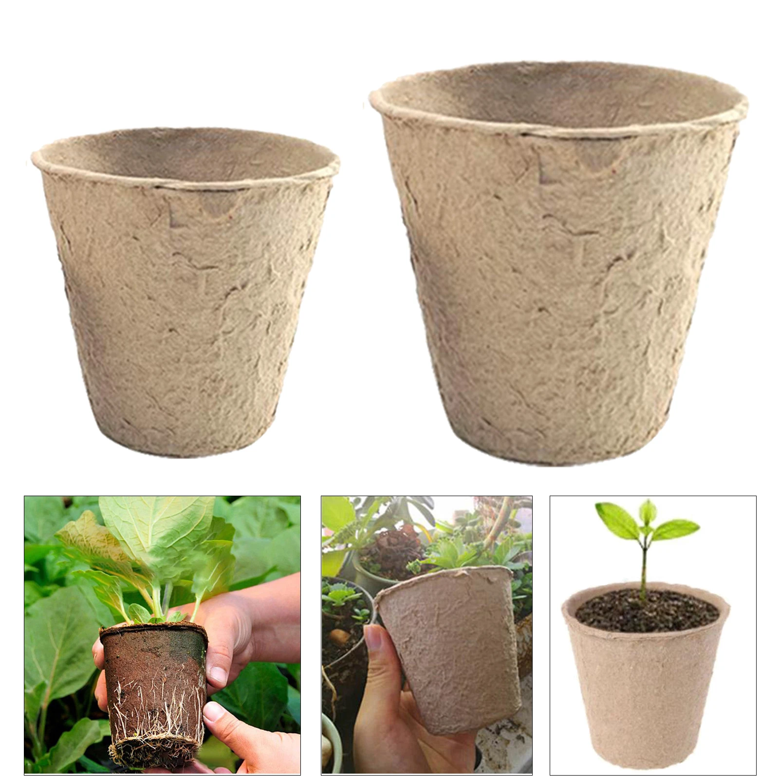 10 Pack Round Peat Pots,Biodegradable Starter Pots Planting Cups
10 Pack Round Peat Pots,Biodegradable Starter Pots Planting Cups