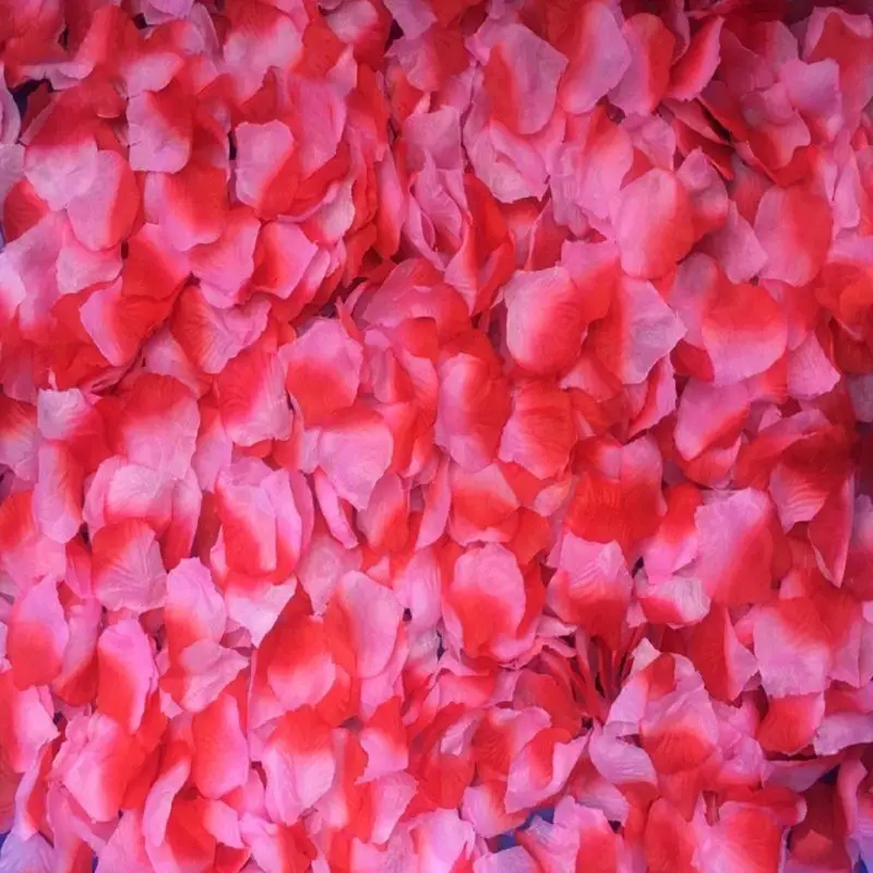P15F 2000 Pcs Artificial Rose Petals Wedding Petalas Colorful Silk Flower Accessories
P15F 2000 Pcs Artificial Rose Petals Wedding Petalas Colorful Silk Flower Accessories