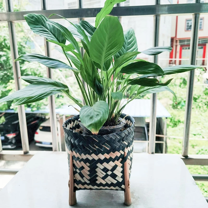 Плетеный цветочный горшок для хранения, натуральная корзина для растений, цветочный горшок, контейнер для дома, офиса, балкона, спальни, гос...
Плетеный цветочный горшок для хранения, натуральная корзина для растений, цветочный горшок, контейнер для дома, офиса, балкона, спальни, гос...