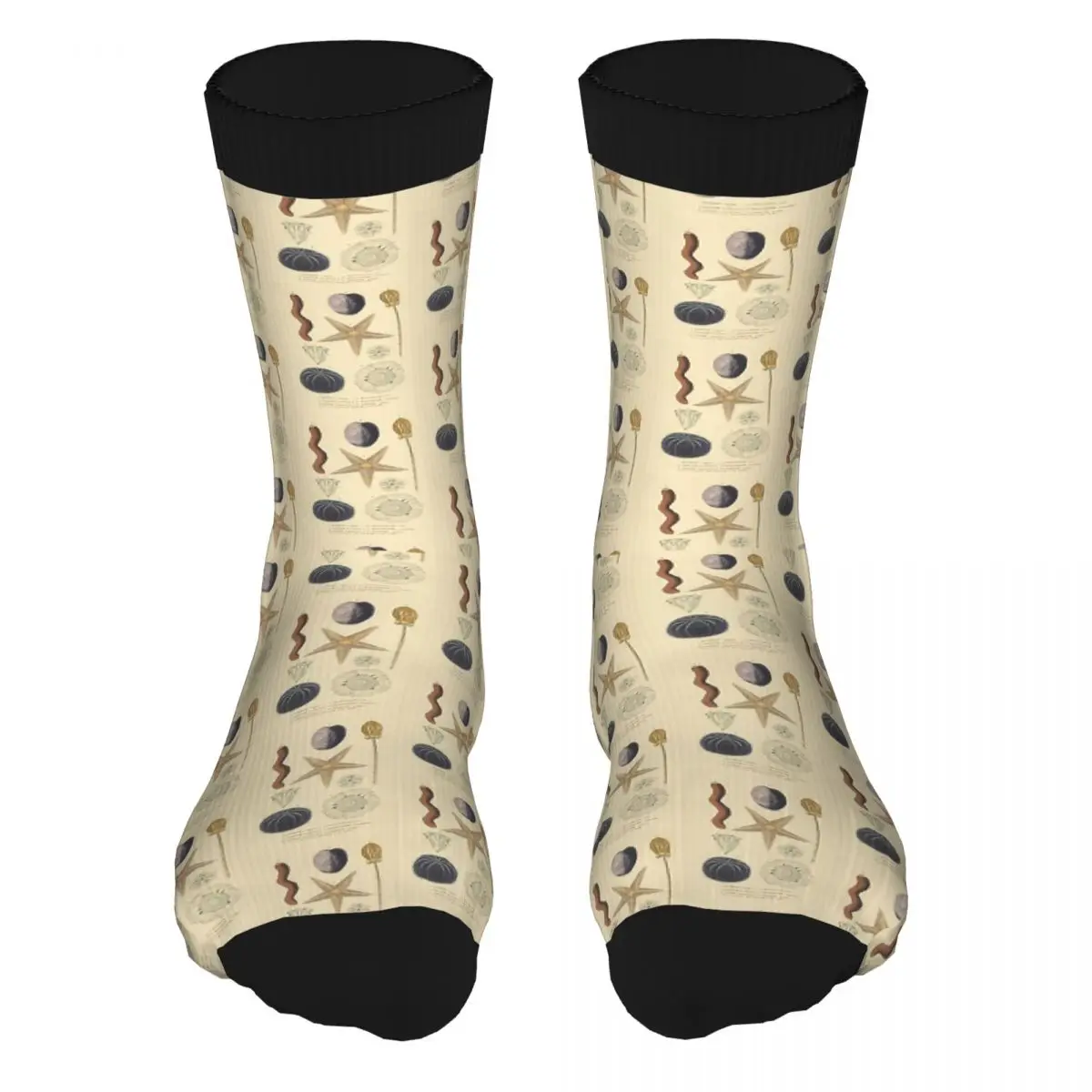 Men's Starfish And Sea Urchins Thick Contrast Color Socks 90% Polyester Winter Middle Tube Socks Original Men's Socks
Men's Starfish And Sea Urchins Thick Contrast Color Socks 90% Polyester Winter Middle Tube Socks Original Men's Socks