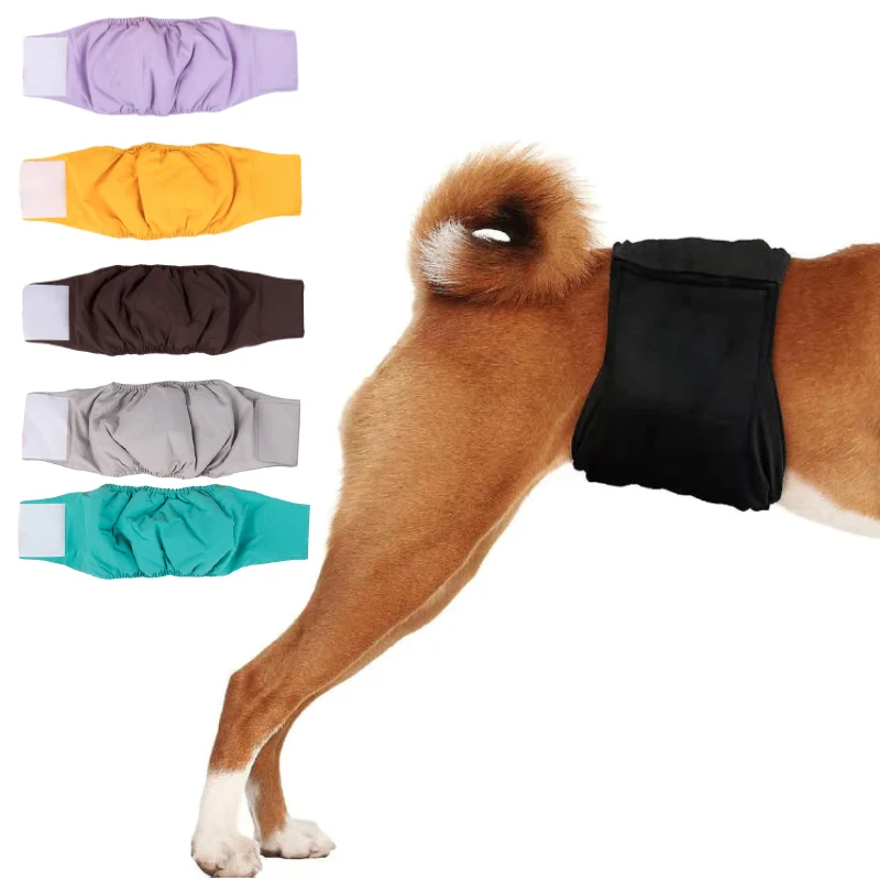 Male Pet Dog Physiological Diaper Sanitary Underwear Belly Band Shorts Boy Puppy Pants For Dogs Washable Pet Panties
Male Pet Dog Physiological Diaper Sanitary Underwear Belly Band Shorts Boy Puppy Pants For Dogs Washable Pet Panties