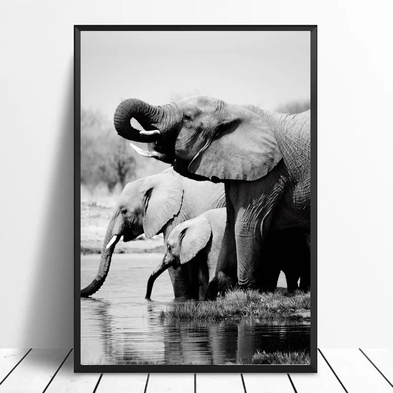 Nordic Black and White Poster Africa Animal Elephant Canvas Wall Art Print Painting Picture for Living Room Home Decoration
Nordic Black and White Poster Africa Animal Elephant Canvas Wall Art Print Painting Picture for Living Room Home Decoration