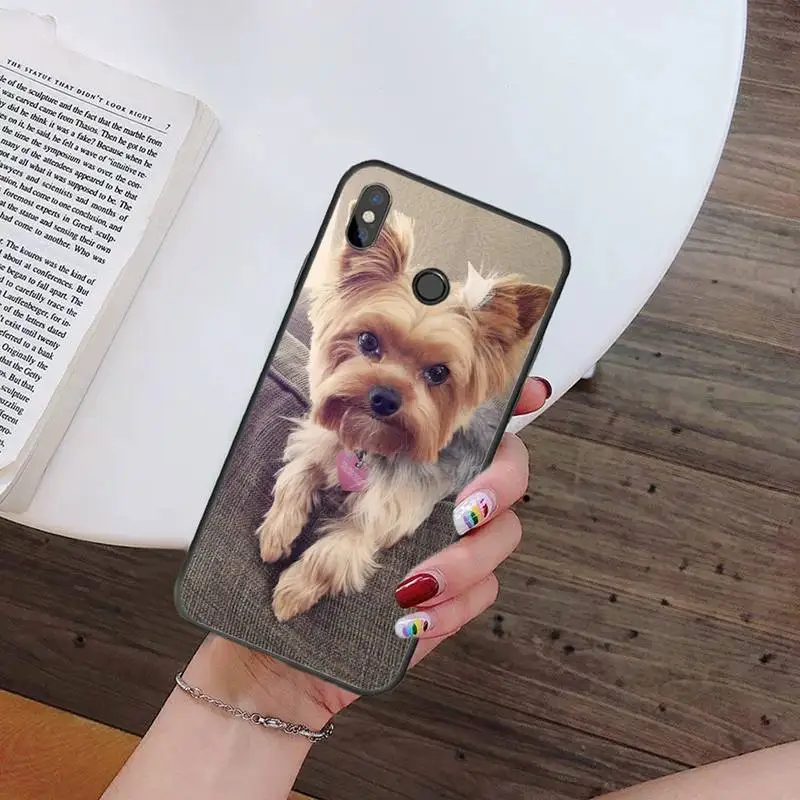 Mini Yorkshire Terrier Dog Phone Cases For Xiaomi Redmi mi note 7 8t 9 9t 9s 8 10 10t 11 pro lite K20 max 3
Mini Yorkshire Terrier Dog Phone Cases For Xiaomi Redmi mi note 7 8t 9 9t 9s 8 10 10t 11 pro lite K20 max 3